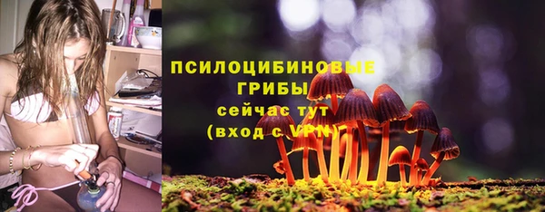 бошки Алексин
