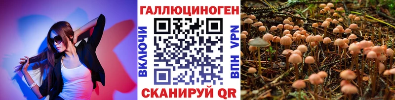 KRAKEN ONION  Находка  Галлюциногенные грибы мицелий  сколько стоит 